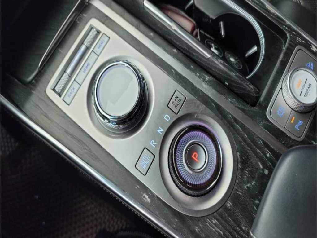 Genesis GV80 - Vista 10