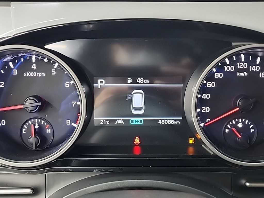 KIA Carnival - Vista 6