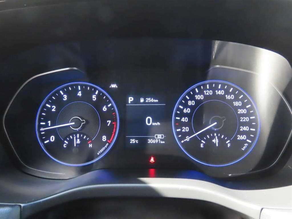 HYUNDAI Palisade - Vista 10
