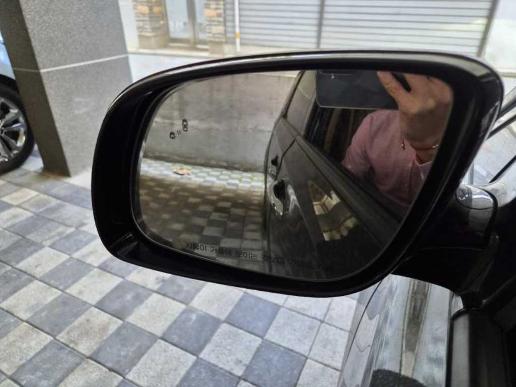 KIA Carnival - Vista 12