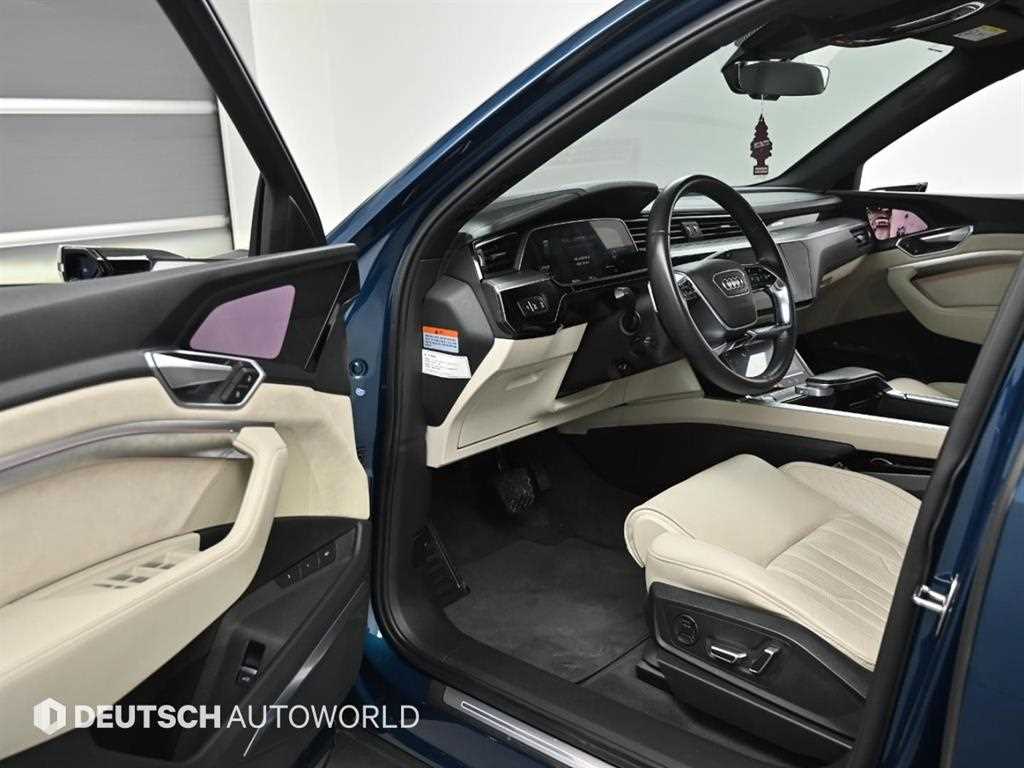 Audi e-Tron - Vista 11