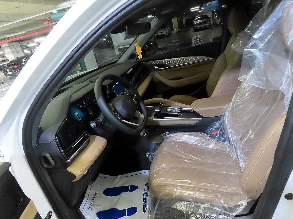 SAMSUNG Grand Koleos - Vista 6