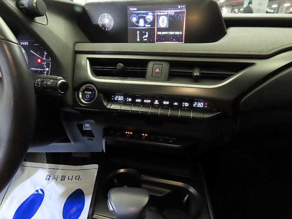 Lexus UX - Vista 11