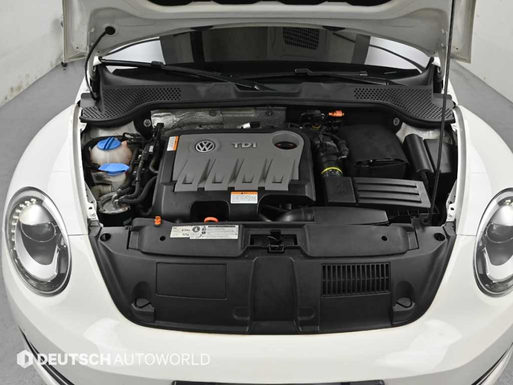 Volkswagen Beetle - Vista 6