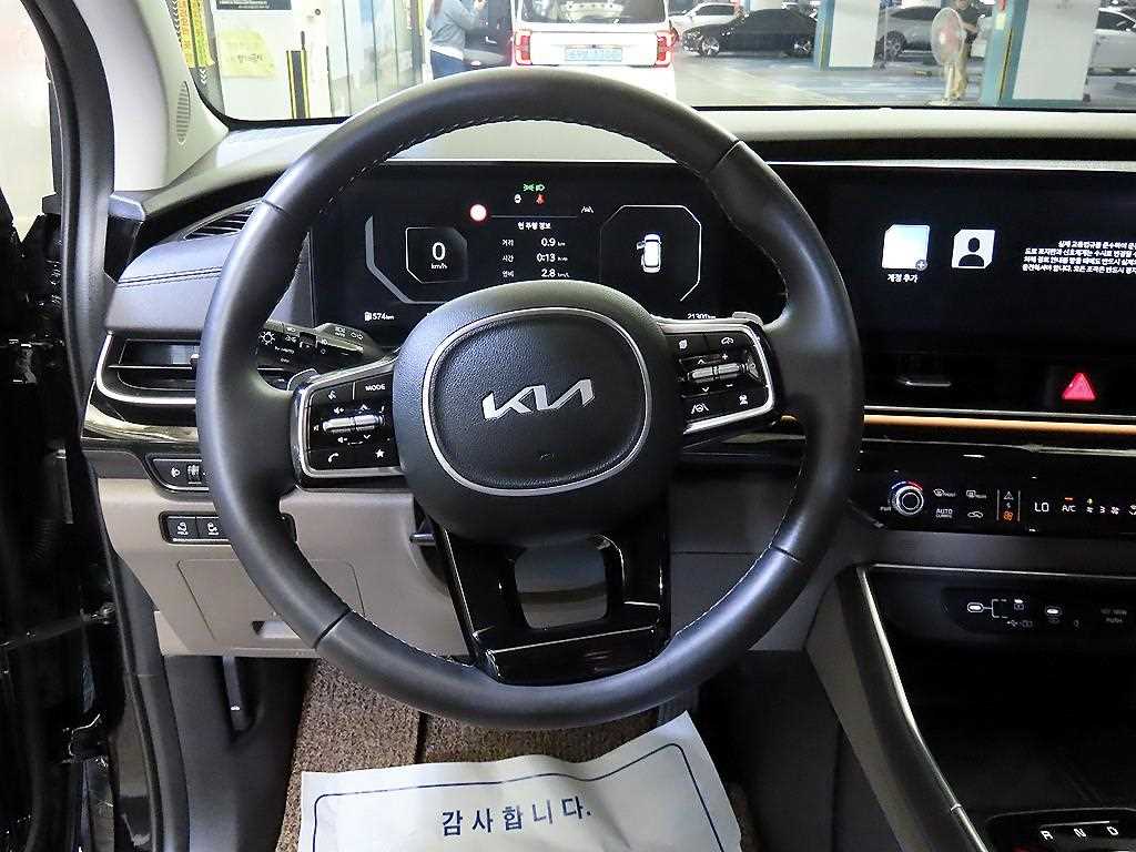 KIA Carnival - Vista 8