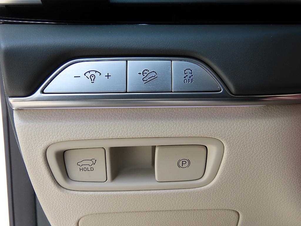 Genesis GV80 - Vista 12