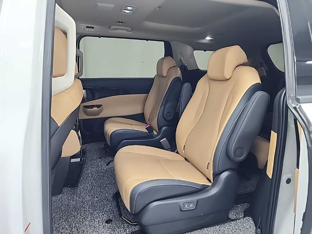 KIA Carnival - Vista 12