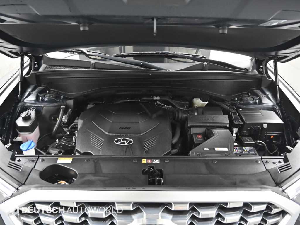 HYUNDAI Palisade - Vista 6