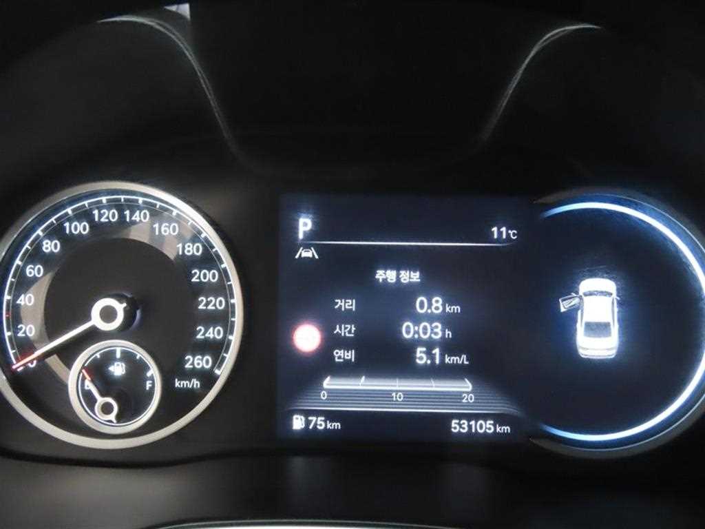 Genesis G80 - Vista 10
