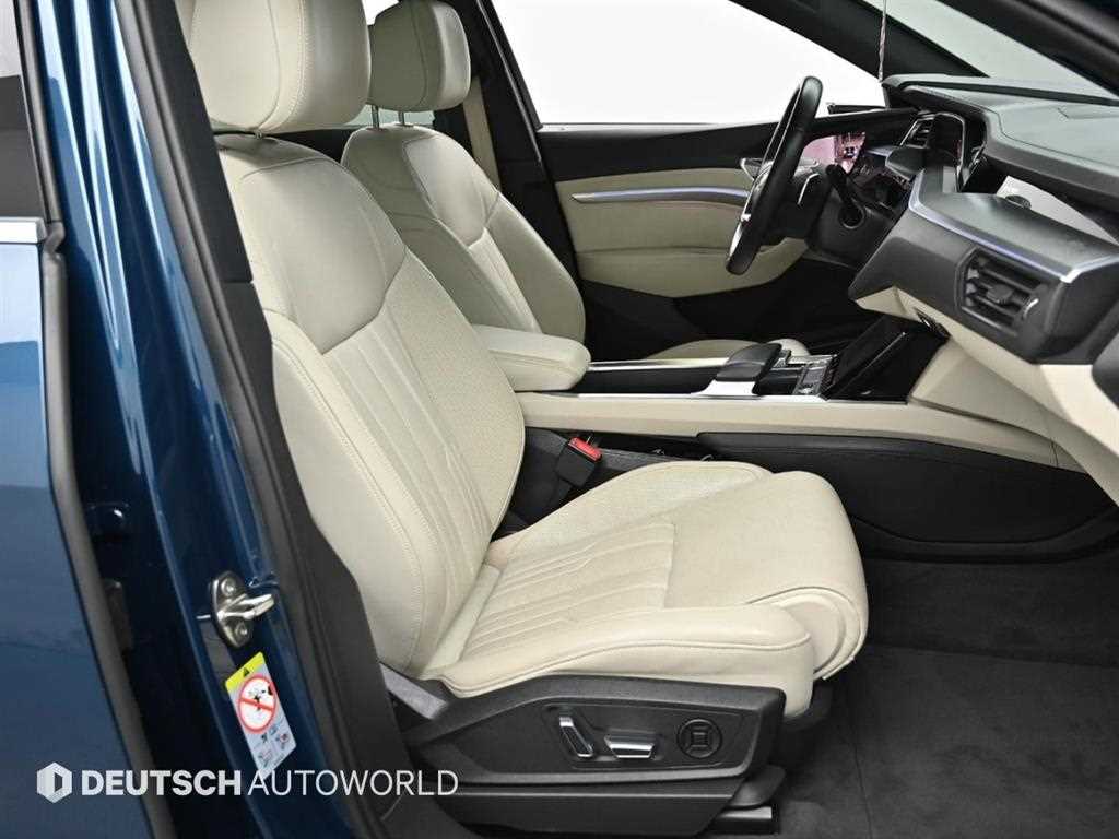 Audi e-Tron - Vista 10