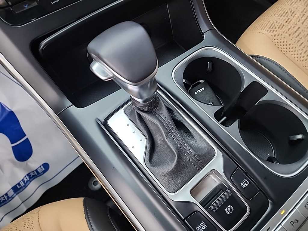 KIA Carnival - Vista 8
