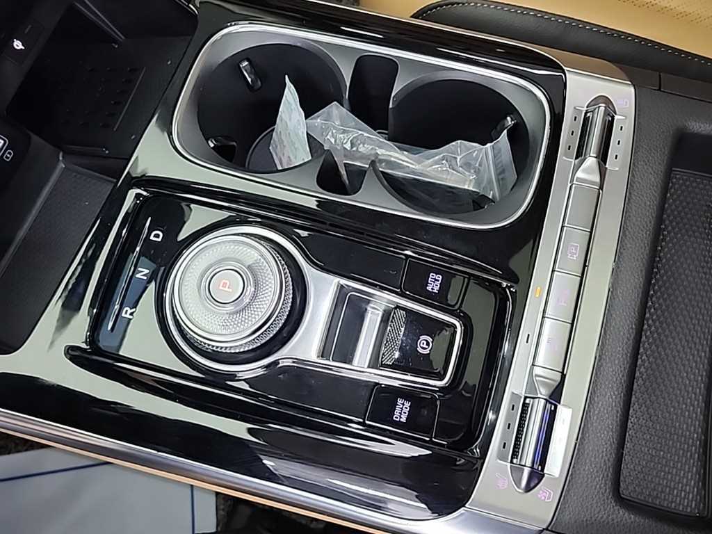 KIA Carnival - Vista 8