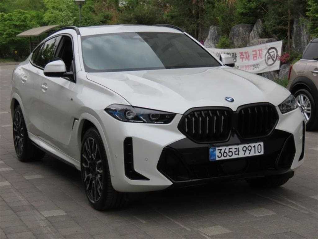 BMW X6 - Vista 2