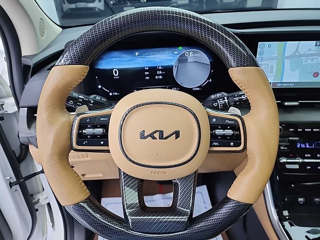 KIA Carnival - Vista 9