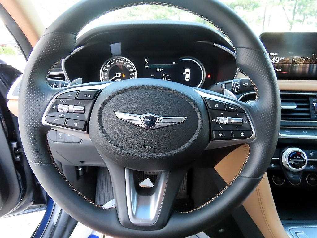 Genesis G70 - Vista 8