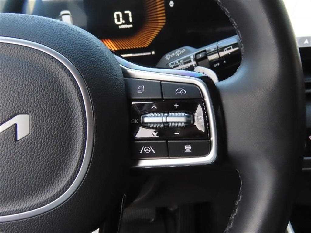 KIA Carnival - Vista 11