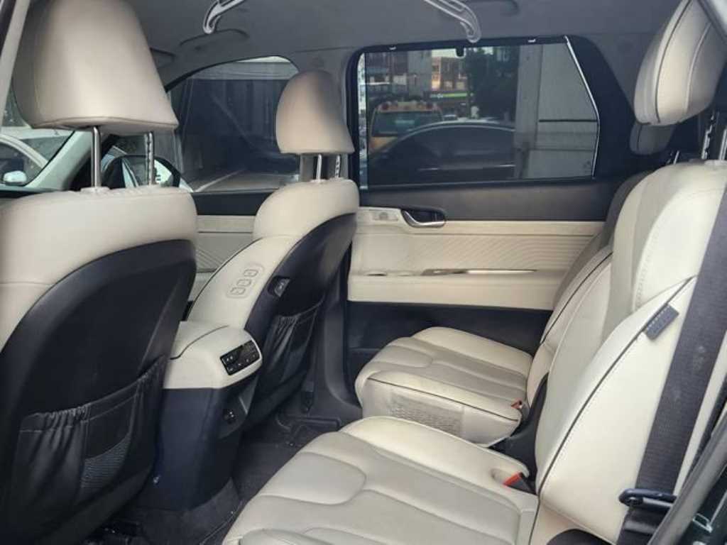 HYUNDAI Palisade - Vista 3
