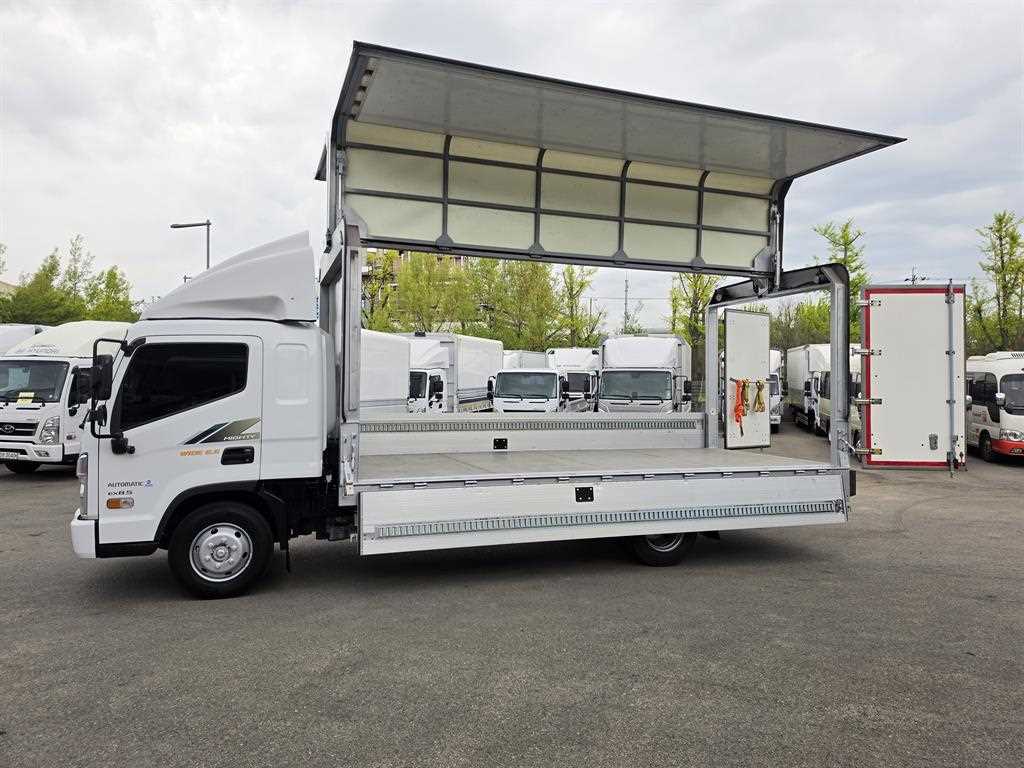 medium and large cargo truck - Vista 11