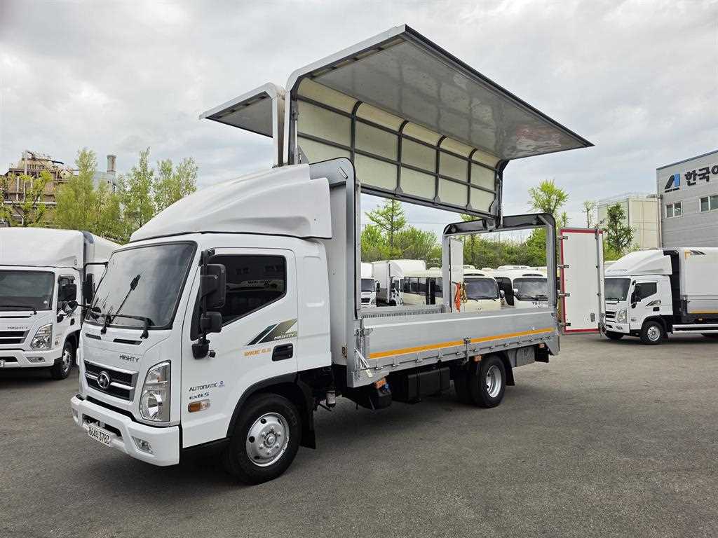 medium and large cargo truck - Vista 10