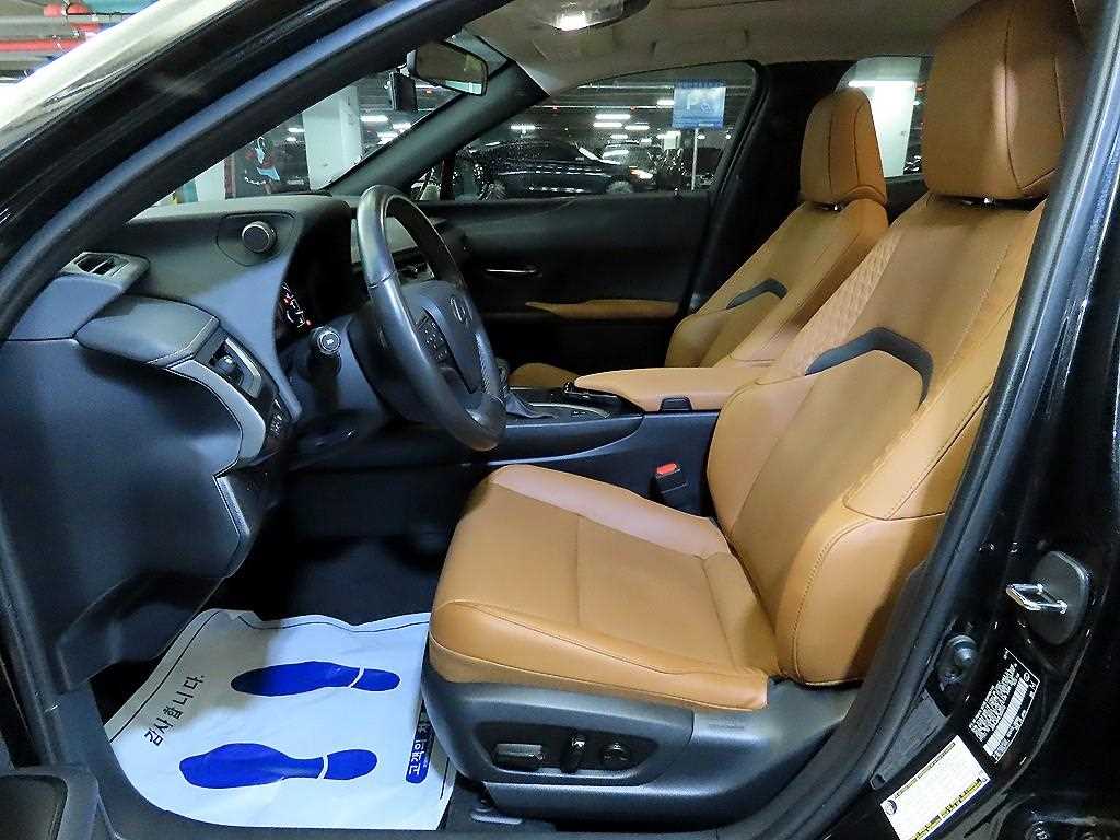 Lexus UX - Vista 6