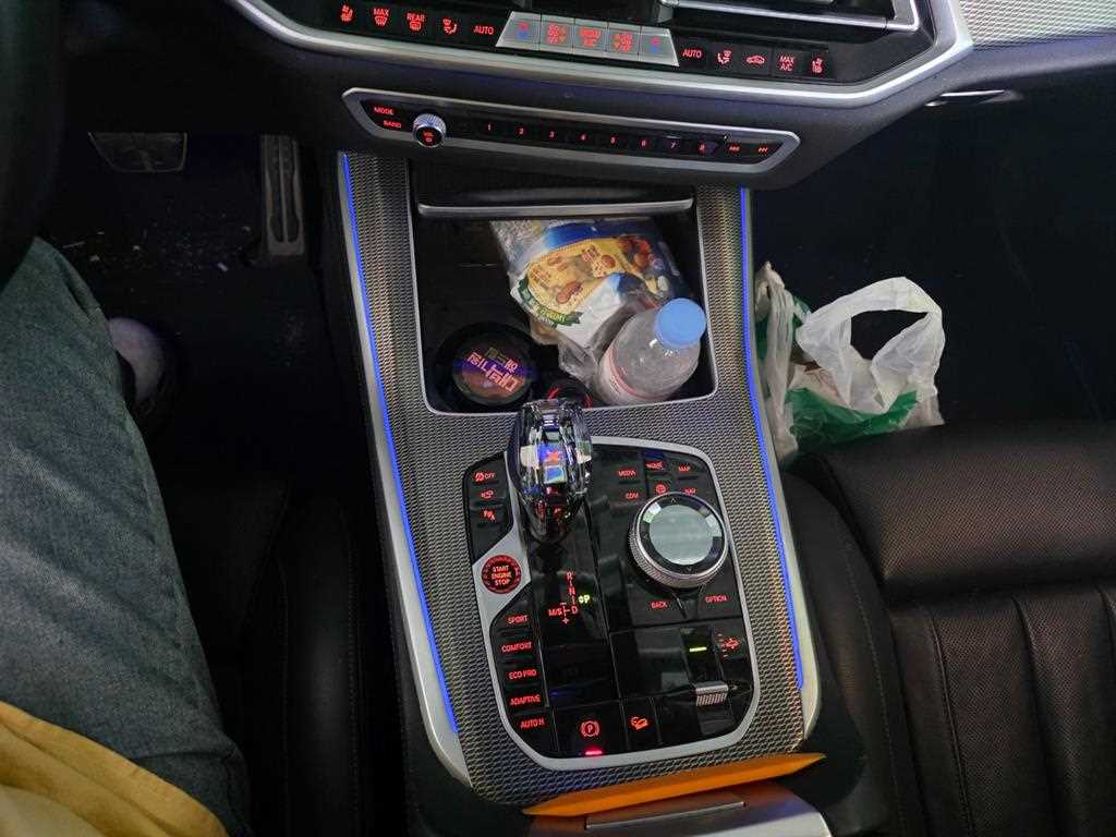 BMW X5 - Vista 11