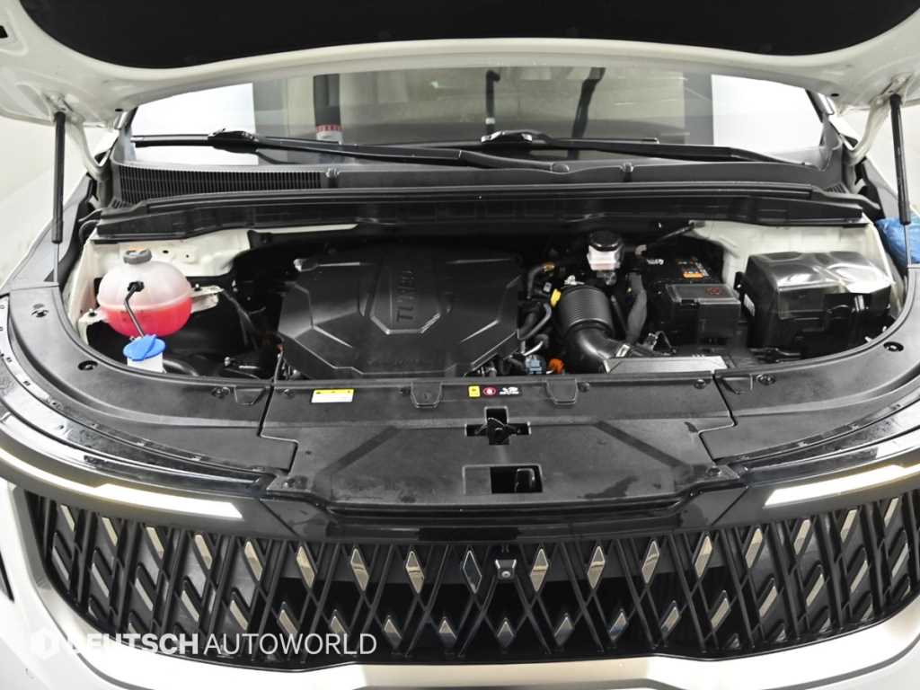 KIA Carnival - Vista 6
