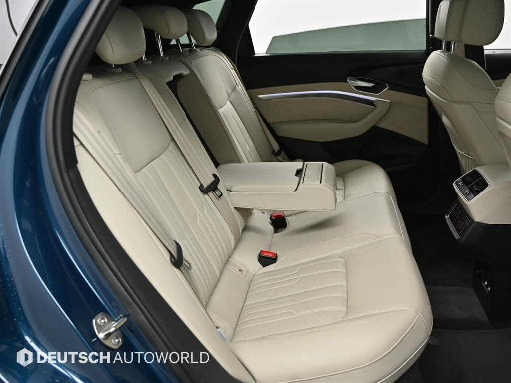 Audi e-Tron - Vista 12