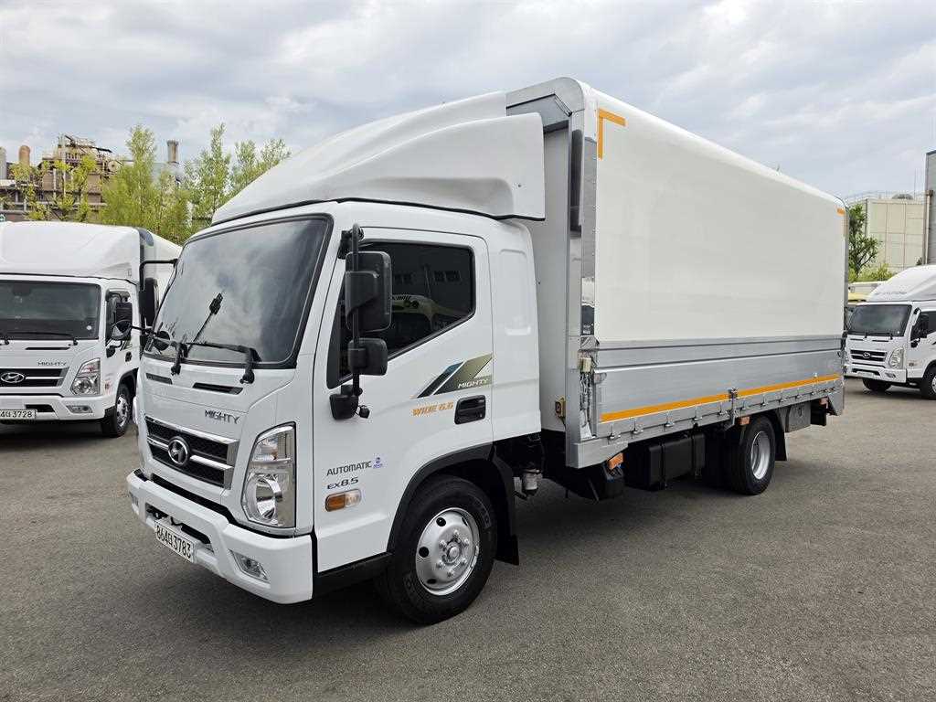 medium and large cargo truck 2021 Blanco - Importación desde Corea - HF Imports Iquique - Foto 1