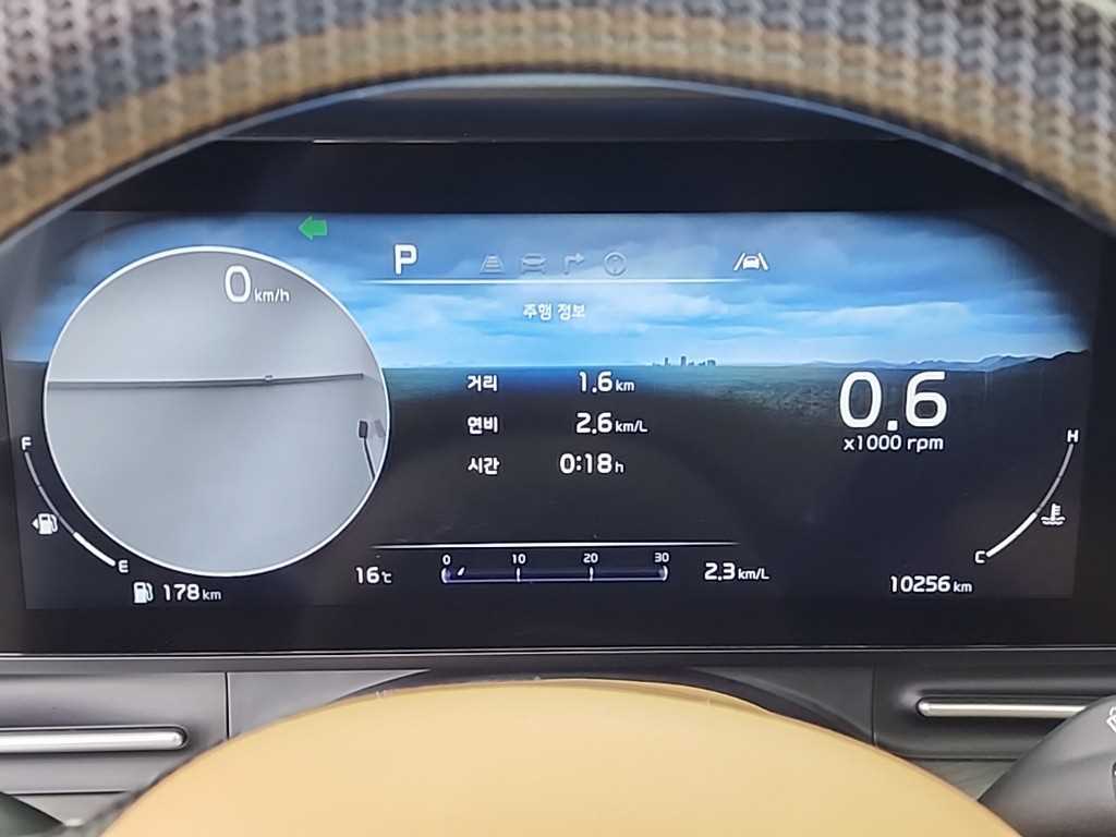 KIA Carnival - Vista 6