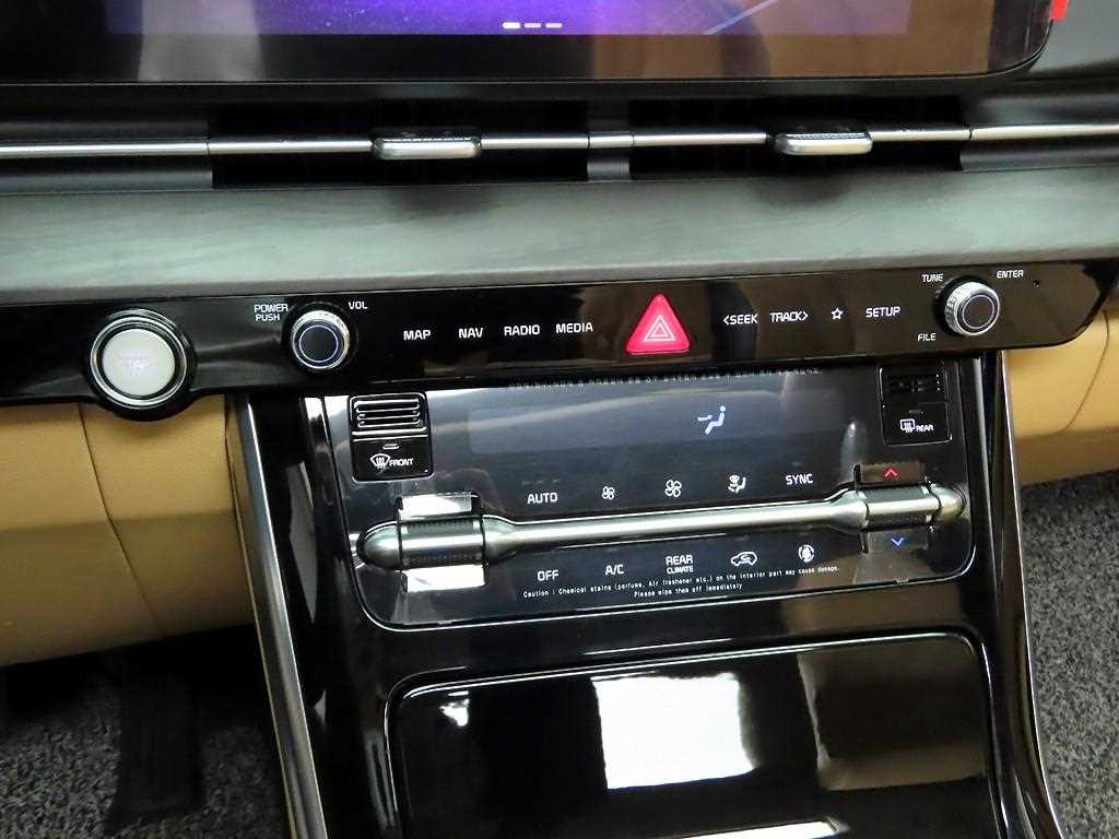 KIA Carnival - Vista 9