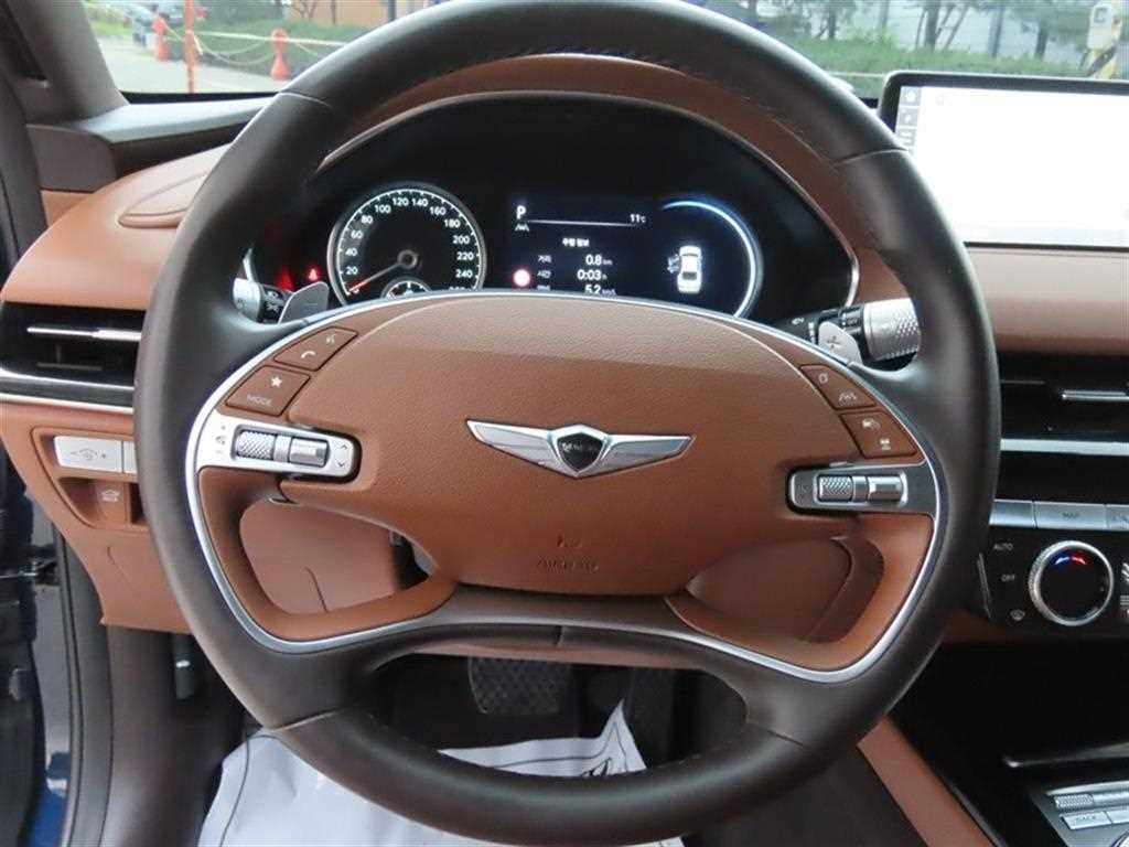 Genesis G80 - Vista 9