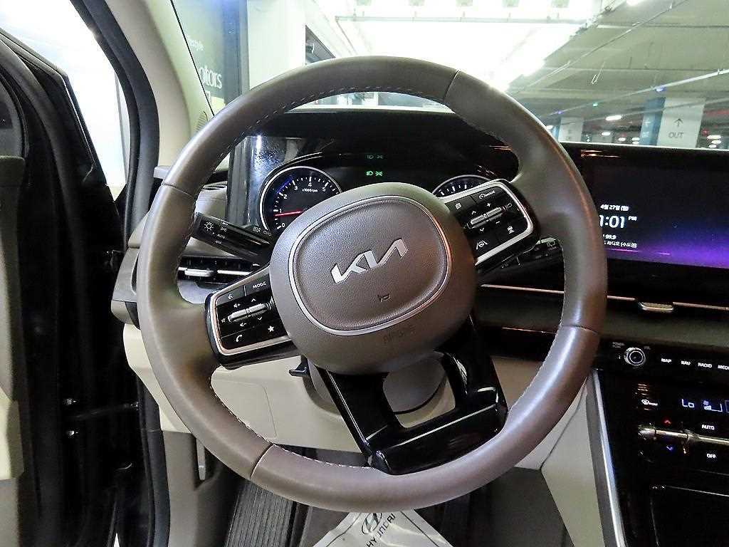 KIA Carnival - Vista 8