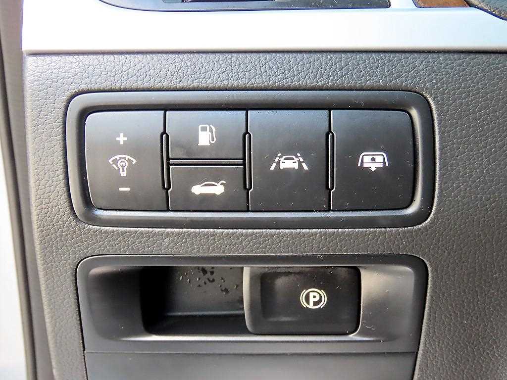 HYUNDAI Genesis - Vista 12