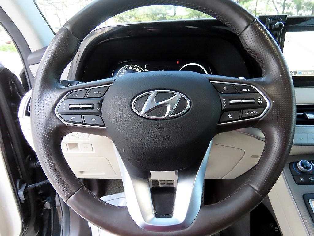 HYUNDAI Palisade - Vista 8