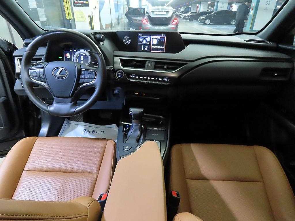 Lexus UX - Vista 10
