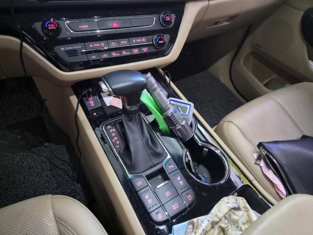 KIA Carnival - Vista 8