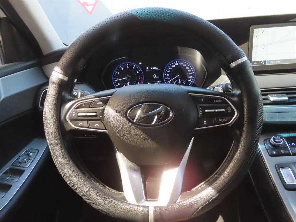 HYUNDAI Palisade - Vista 12