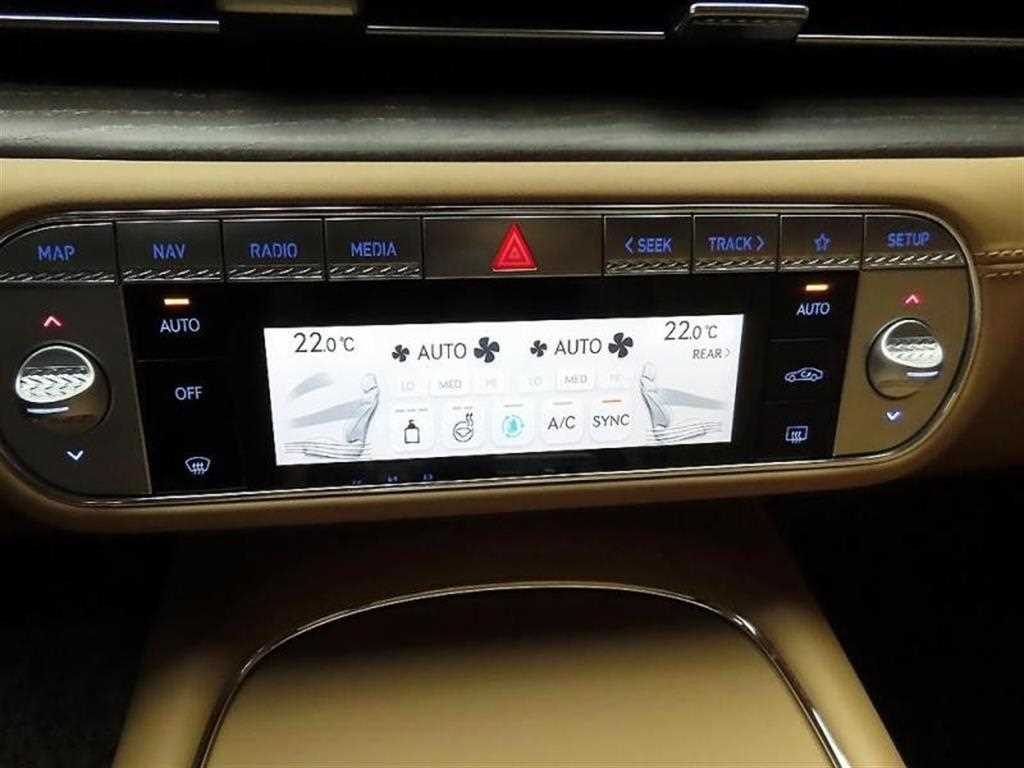 Genesis G90 - Vista 6