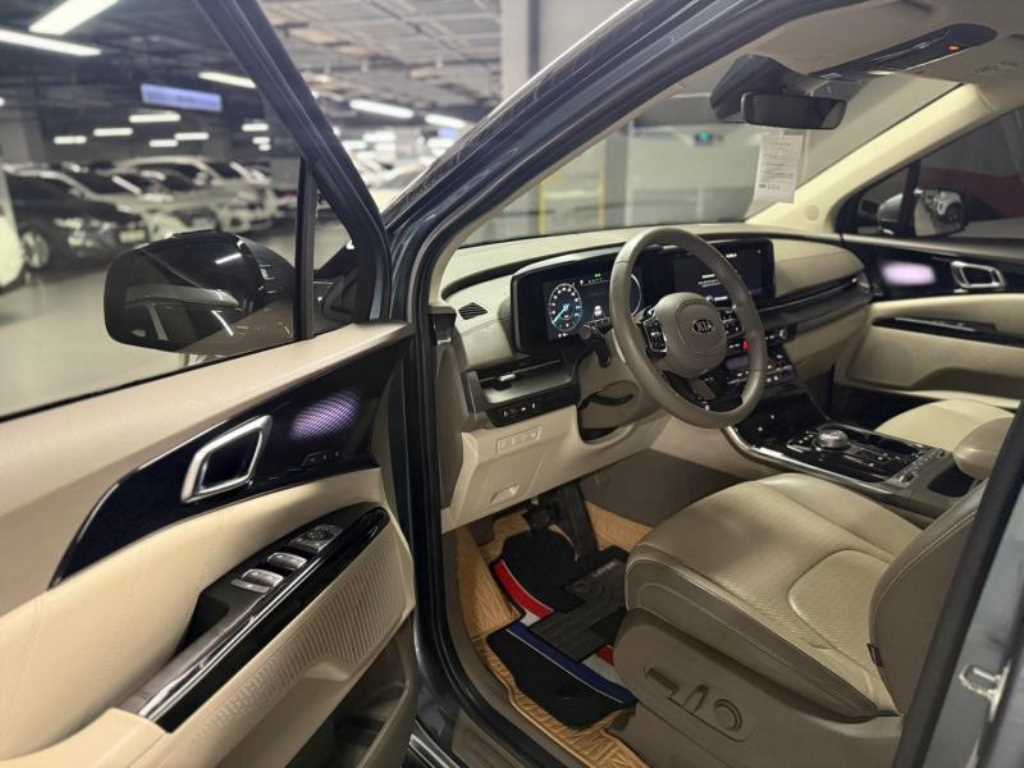 KIA Carnival - Vista 10