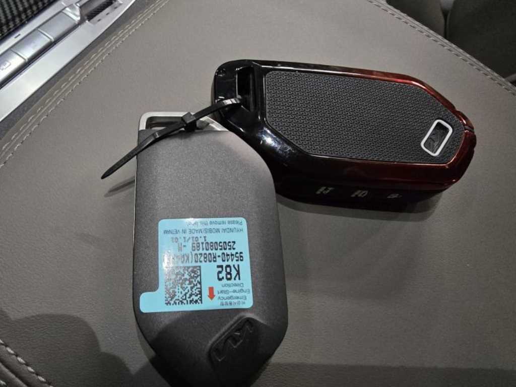 KIA Carnival - Vista 9