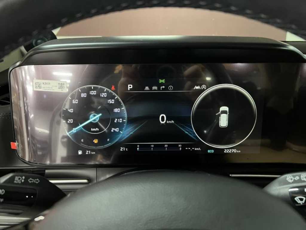 KIA Carnival - Vista 9
