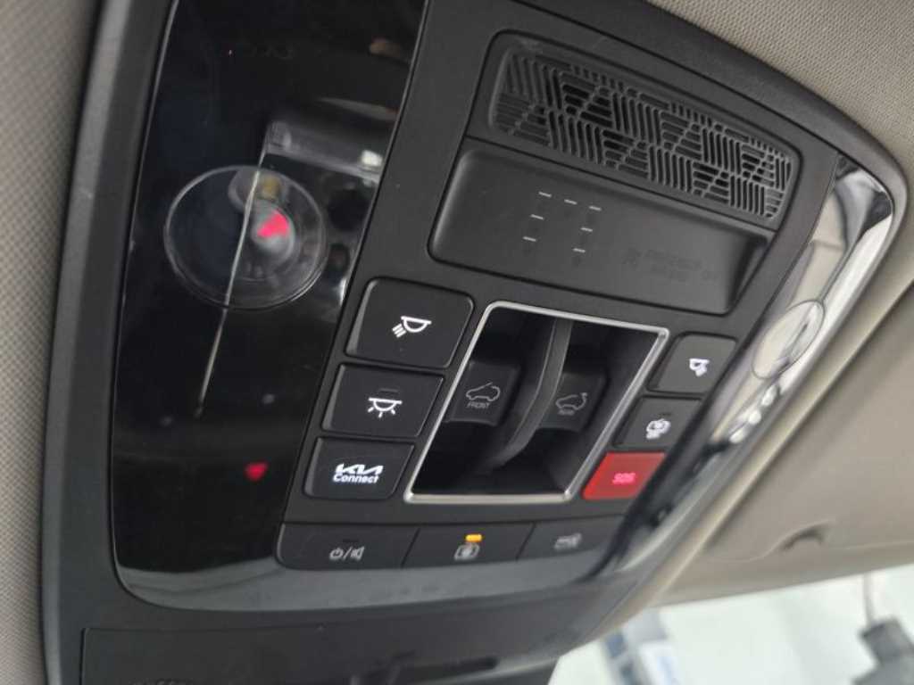 KIA Carnival - Vista 12