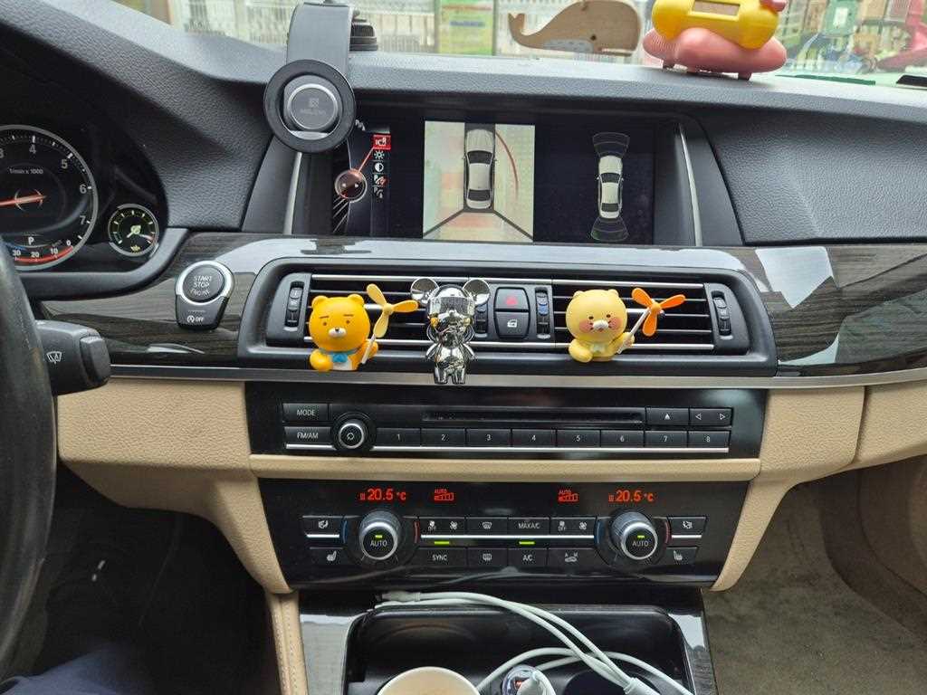 BMW 5 Series - Vista 10