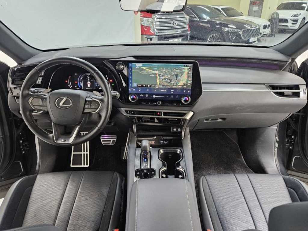 Lexus RX - Vista 10