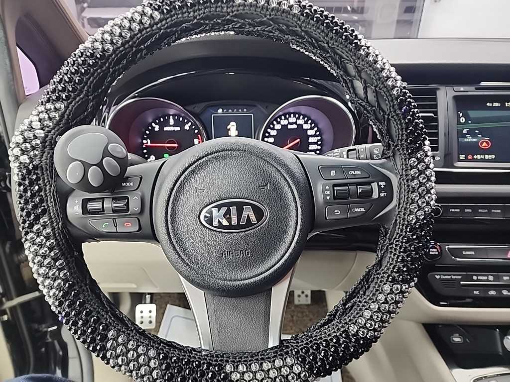 KIA Carnival - Vista 9