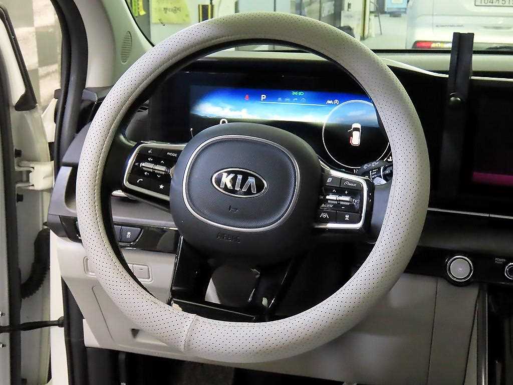 KIA Carnival - Vista 8
