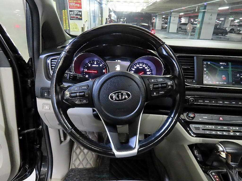 KIA Carnival - Vista 8