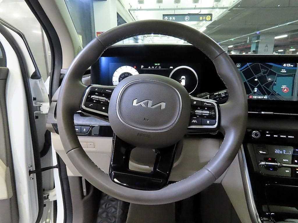 KIA Carnival - Vista 8