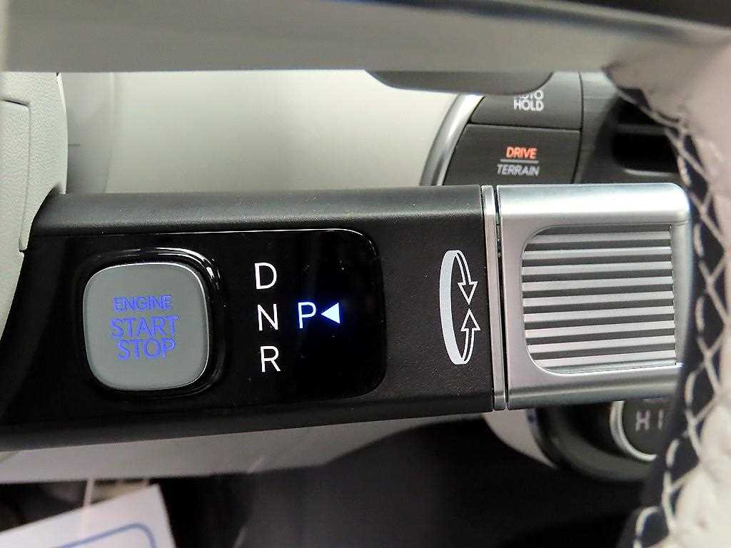HYUNDAI Palisade - Vista 10