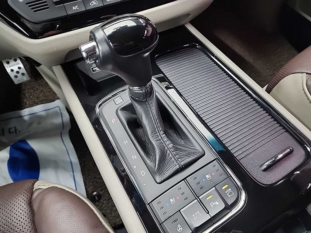 KIA Carnival - Vista 8